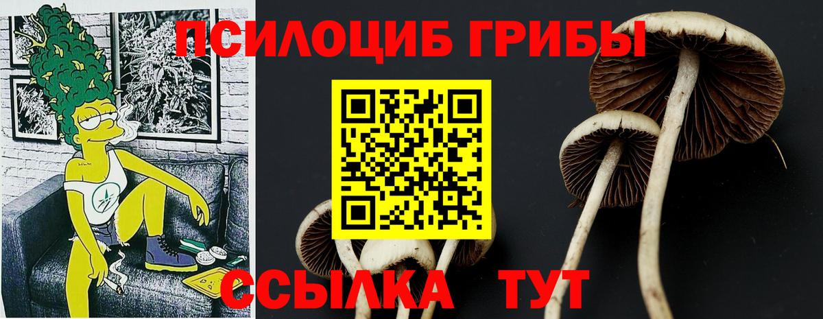 Псилоцибиновые грибы мицелий  Вход с VPN  Миасс 