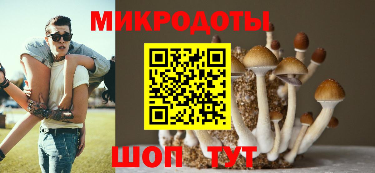Псилоцибиновые грибы Magic Shrooms Миасс